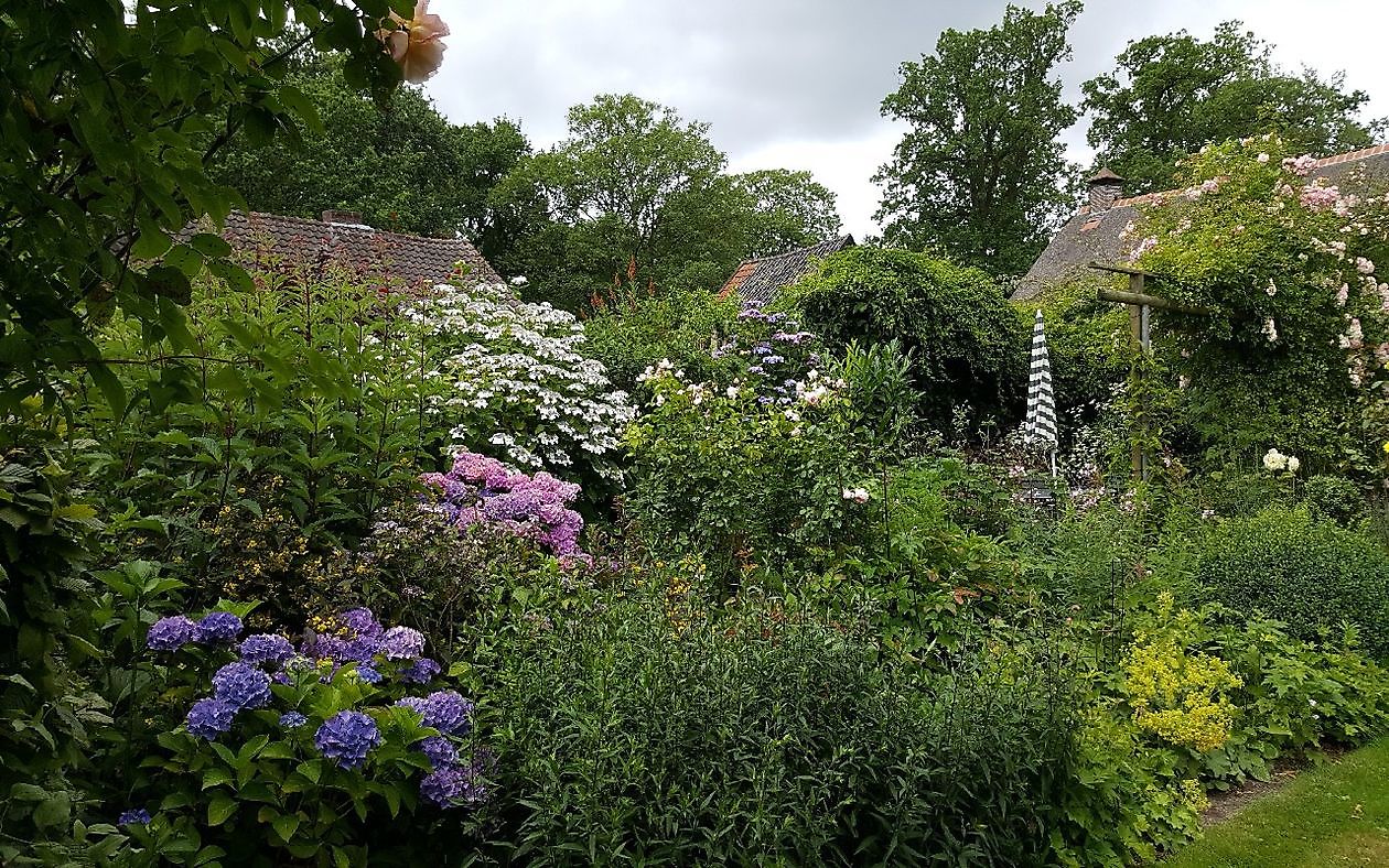 Der Garten von Anneke van Apeldoorn - Het Tuinpad Op / In Nachbars Garten