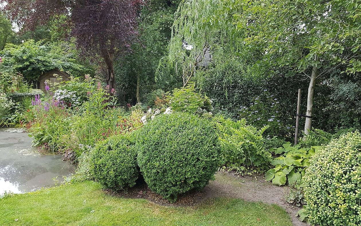 Der Garten von Anneke van Apeldoorn - Het Tuinpad Op / In Nachbars Garten