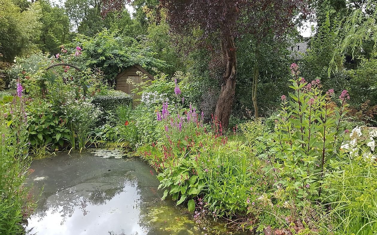 Der Garten von Anneke van Apeldoorn - Het Tuinpad Op / In Nachbars Garten