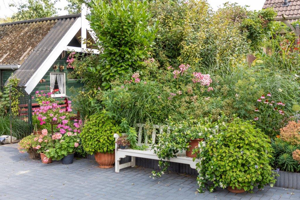 Jetskes Garten - Het Tuinpad Op / In Nachbars Garten