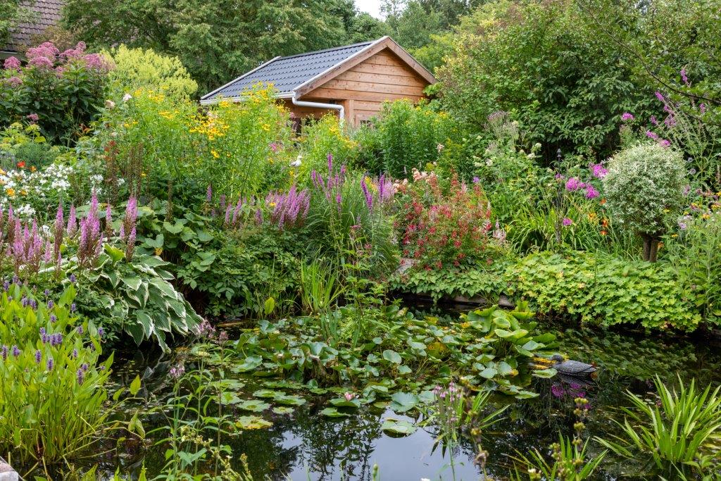 Jetskes Garten - Het Tuinpad Op / In Nachbars Garten