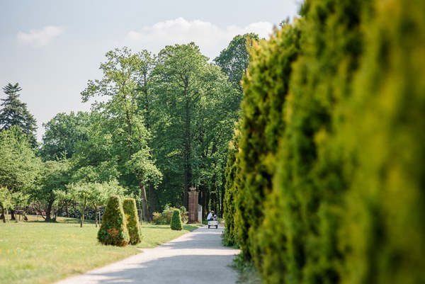 Lütetsburger Schlosspark - Het Tuinpad Op / In Nachbars Garten