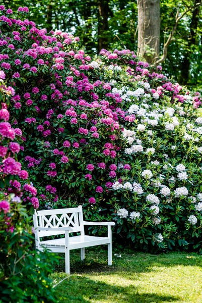 Lütetsburger Schlosspark - Het Tuinpad Op / In Nachbars Garten