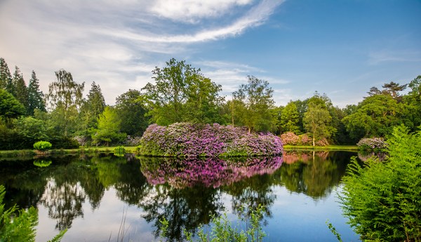 Lütetsburger Schlosspark - Het Tuinpad Op / In Nachbars Garten