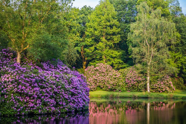 Lütetsburger Schlosspark - Het Tuinpad Op / In Nachbars Garten