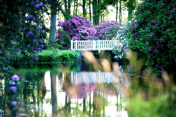 Lütetsburger Schlosspark - Het Tuinpad Op / In Nachbars Garten