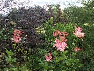 De Rode Melde - Het Tuinpad Op / In Nachbars Garten