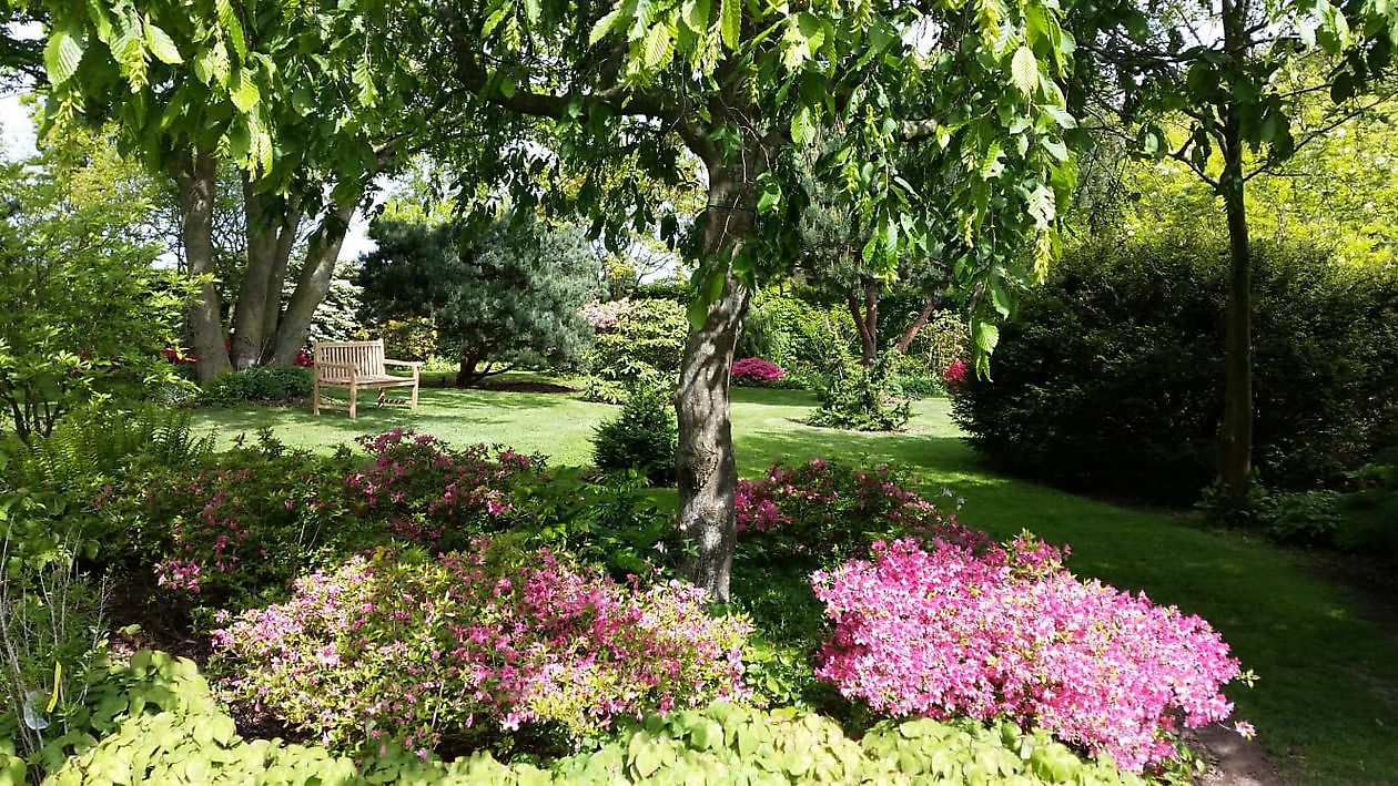 Arboretum Westeresch - Het Tuinpad Op / In Nachbars Garten