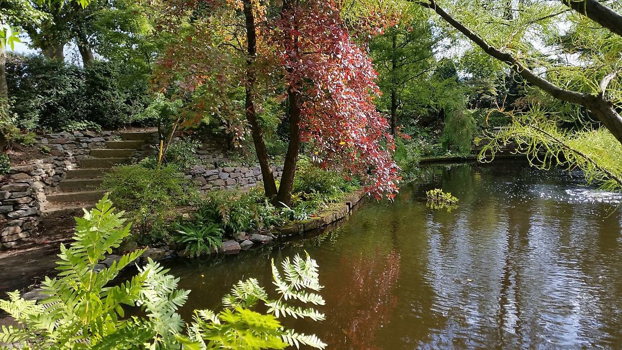 Arboretum Westeresch - Het Tuinpad Op / In Nachbars Garten