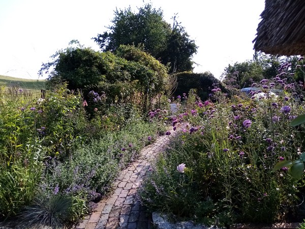 Blütenreich am Deich - Het Tuinpad Op / In Nachbars Garten