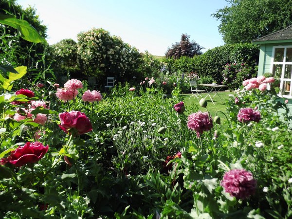 Blütenreich am Deich - Het Tuinpad Op / In Nachbars Garten