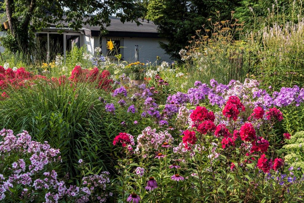 Garten Stolle - Het Tuinpad Op / In Nachbars Garten