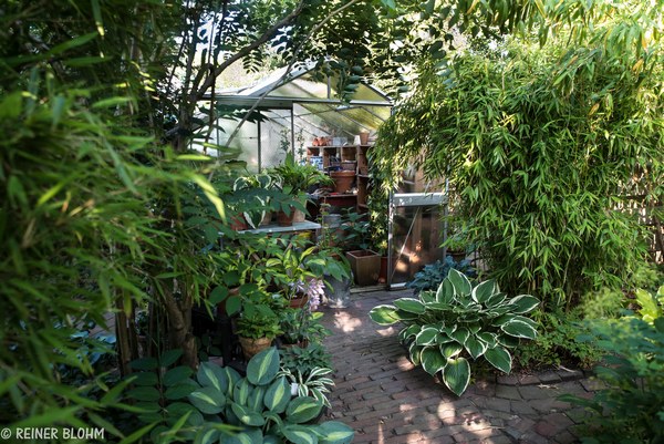 Blohm - Het Tuinpad Op / In Nachbars Garten