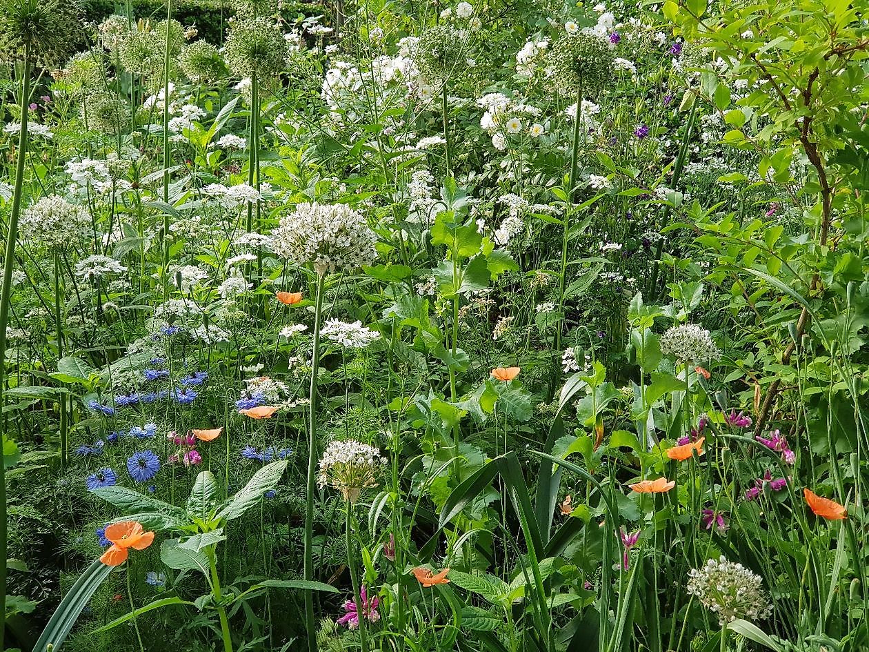 Garten Nauta de Blaauw - Het Tuinpad Op / In Nachbars Garten