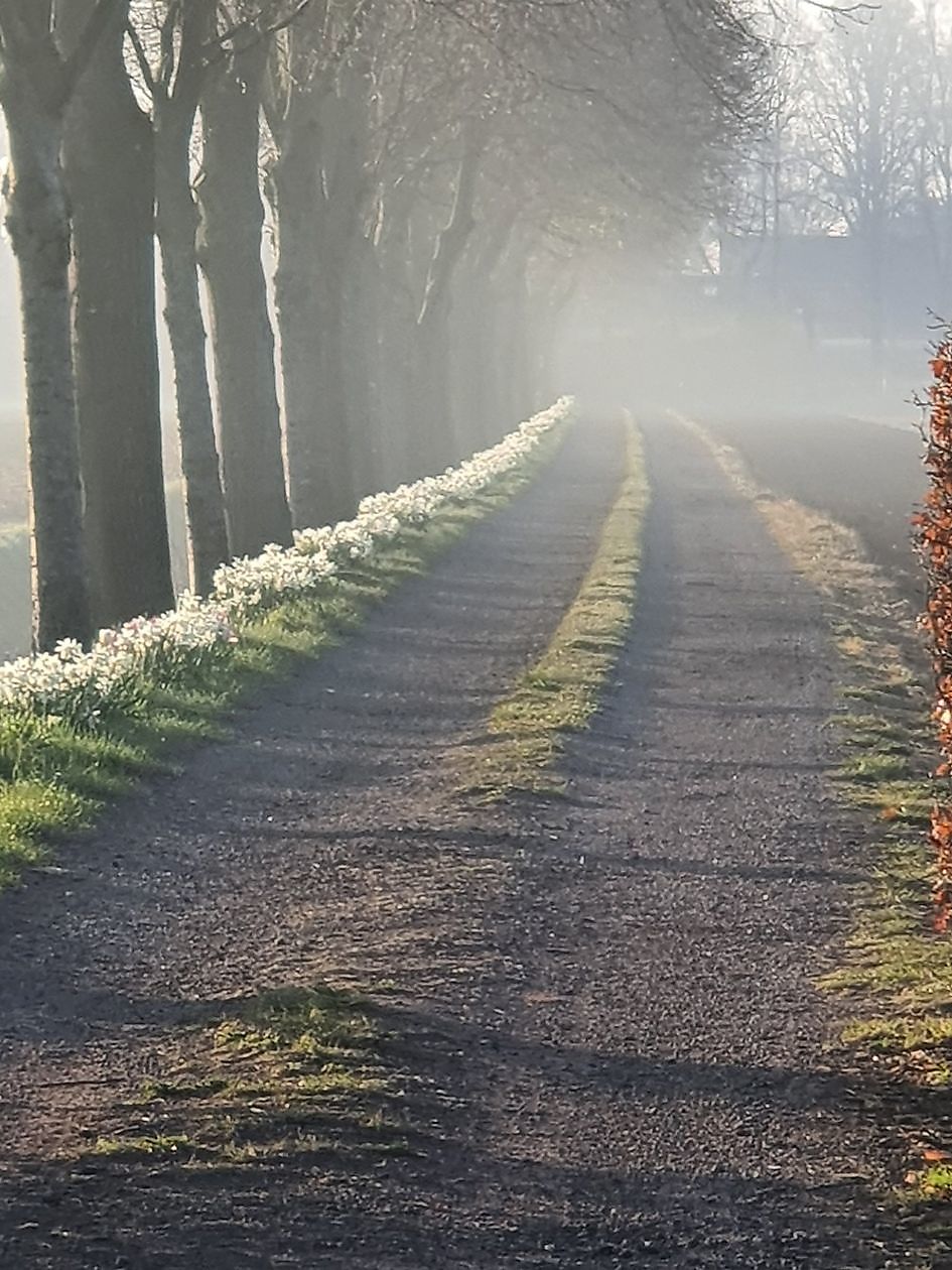 Garten Nauta de Blaauw - Het Tuinpad Op / In Nachbars Garten