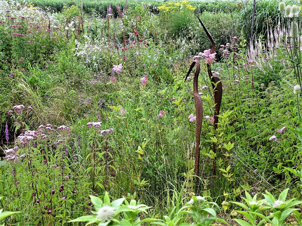 De Houtstek - Het Tuinpad Op / In Nachbars Garten