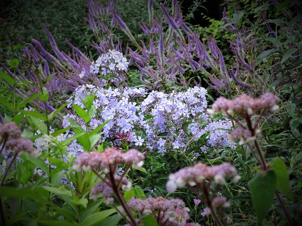 De Houtstek - Het Tuinpad Op / In Nachbars Garten