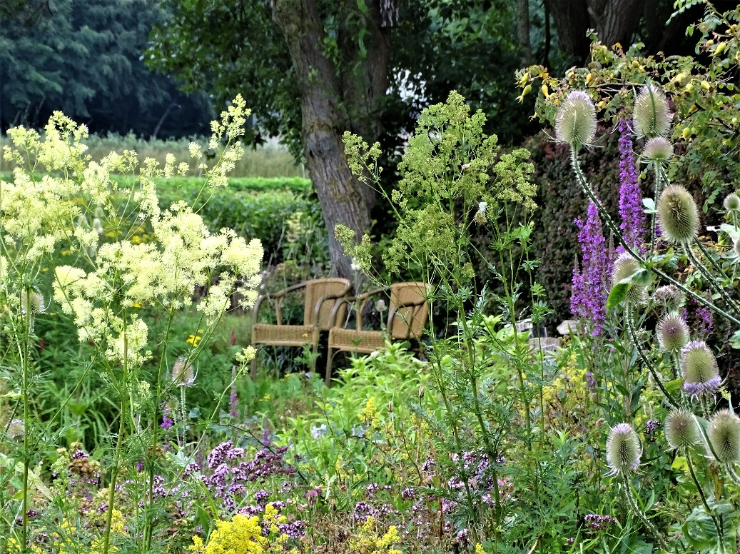 De Houtstek - Het Tuinpad Op / In Nachbars Garten