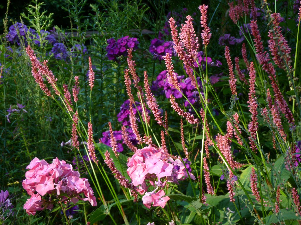 De Houtstek - Het Tuinpad Op / In Nachbars Garten