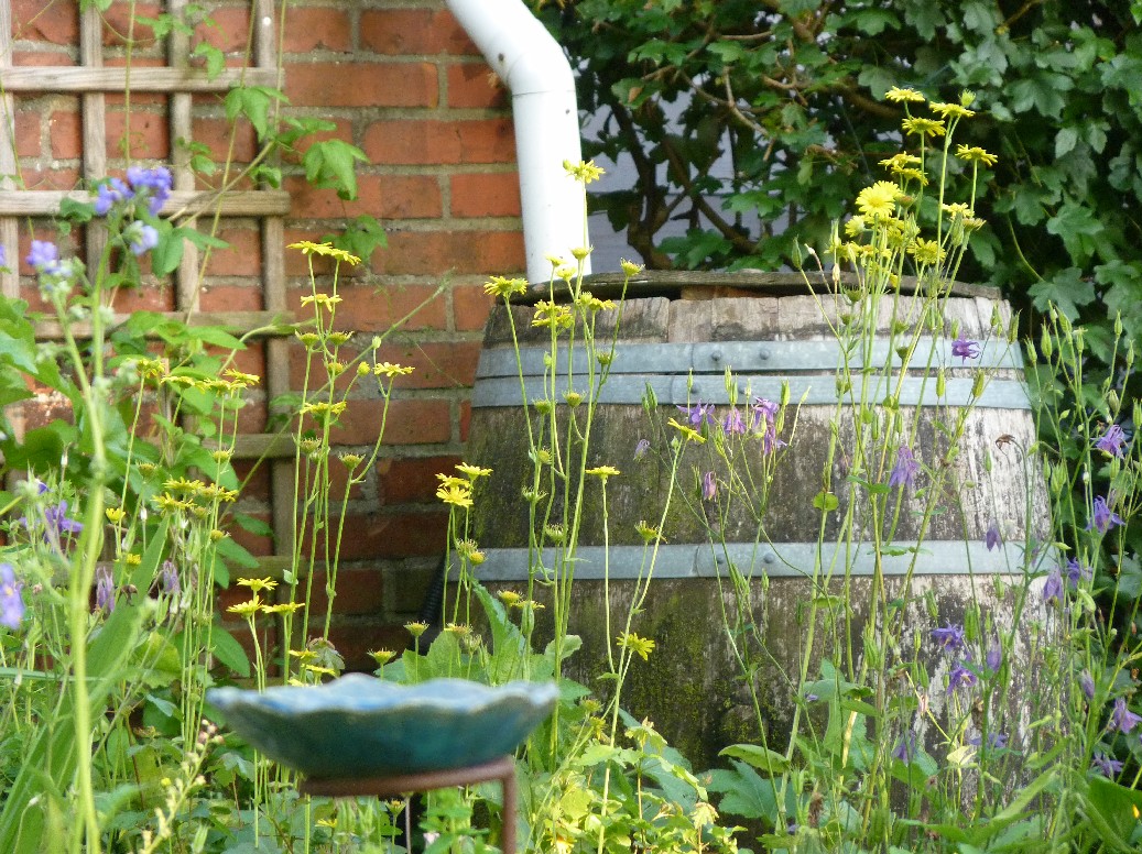 De Houtstek - Het Tuinpad Op / In Nachbars Garten