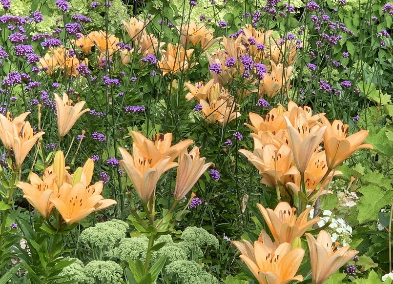 De Vier Handen  (Die vier Hände) - Het Tuinpad Op / In Nachbars Garten