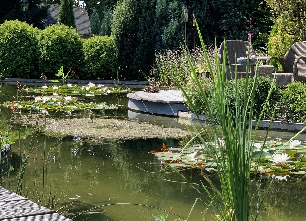 De Vier Handen  (Die vier Hände) - Het Tuinpad Op / In Nachbars Garten