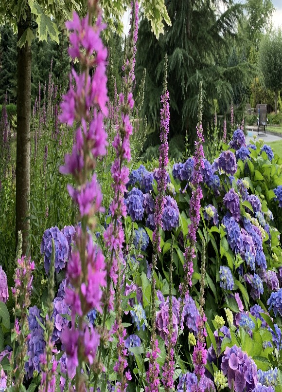 De Vier Handen  (Die vier Hände) - Het Tuinpad Op / In Nachbars Garten