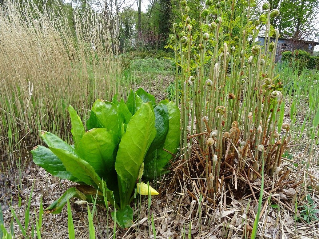 Jan Wilde een Tuin - Het Tuinpad Op / In Nachbars Garten