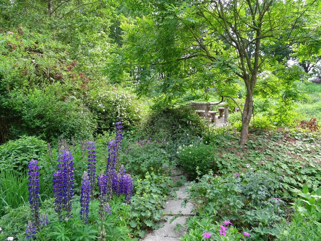 Jan Wilde een Tuin - Het Tuinpad Op / In Nachbars Garten