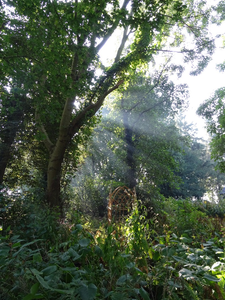 Jan Wilde een Tuin - Het Tuinpad Op / In Nachbars Garten