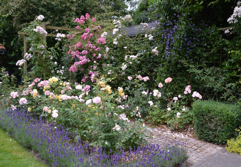 Der Eexterhof - Het Tuinpad Op / In Nachbars Garten