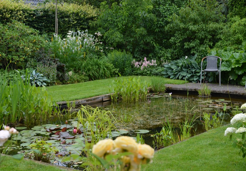 Der Eexterhof - Het Tuinpad Op / In Nachbars Garten