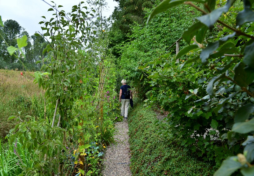 Der Eexterhof - Het Tuinpad Op / In Nachbars Garten