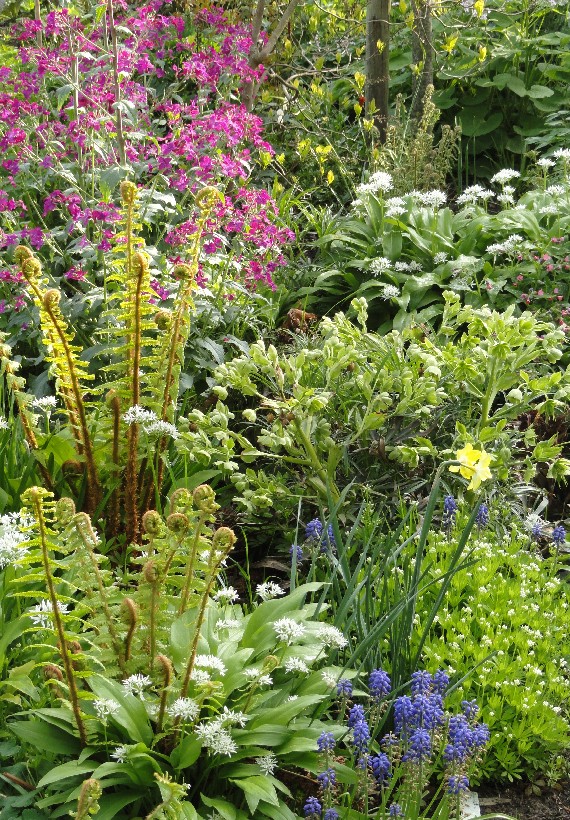 Der Eexterhof - Het Tuinpad Op / In Nachbars Garten