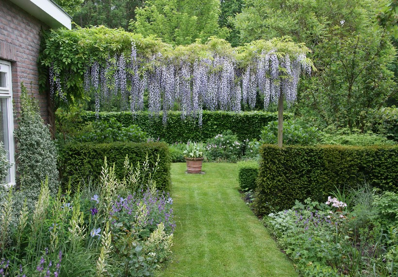 Der Eexterhof - Het Tuinpad Op / In Nachbars Garten