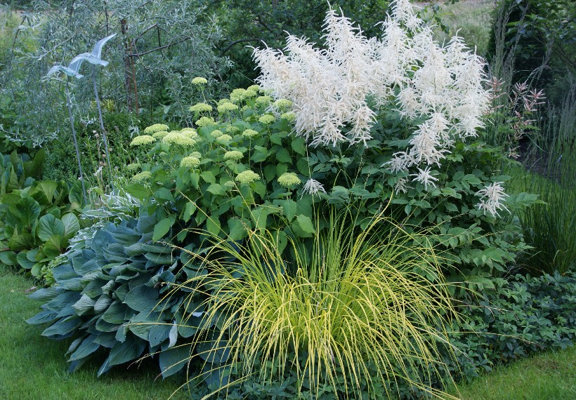 Der Eexterhof - Het Tuinpad Op / In Nachbars Garten