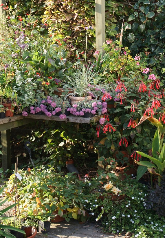 Der Eexterhof - Het Tuinpad Op / In Nachbars Garten