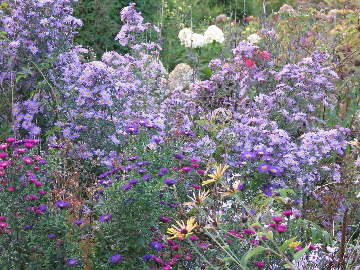 Landidyll Familie Tjarks/Schoon - Het Tuinpad Op / In Nachbars Garten