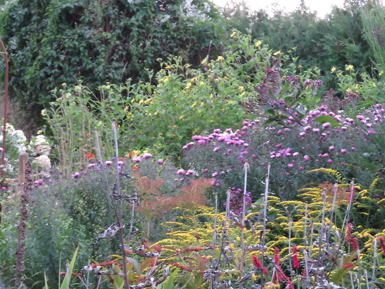 Landidyll Familie Tjarks/Schoon - Het Tuinpad Op / In Nachbars Garten