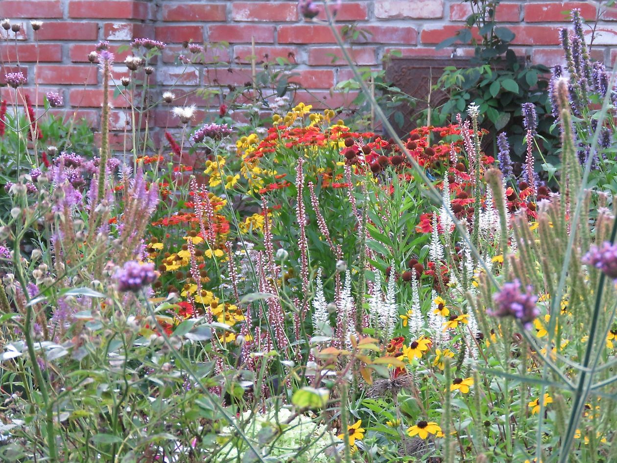 Landidyll Familie Tjarks/Schoon - Het Tuinpad Op / In Nachbars Garten