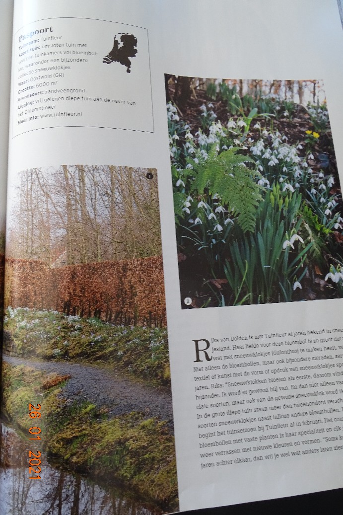 Tuinfleur - Het Tuinpad Op / In Nachbars Garten