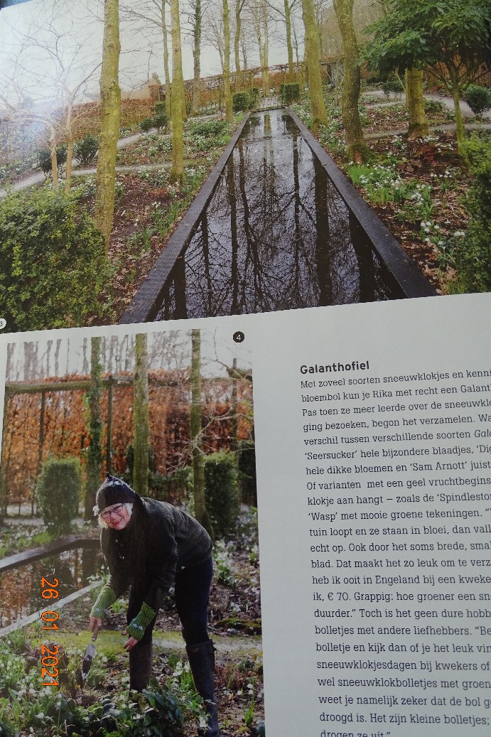 Tuinfleur - Het Tuinpad Op / In Nachbars Garten