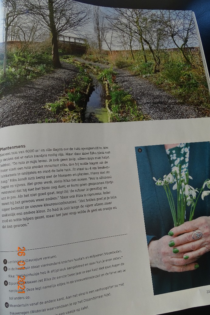 Tuinfleur - Het Tuinpad Op / In Nachbars Garten