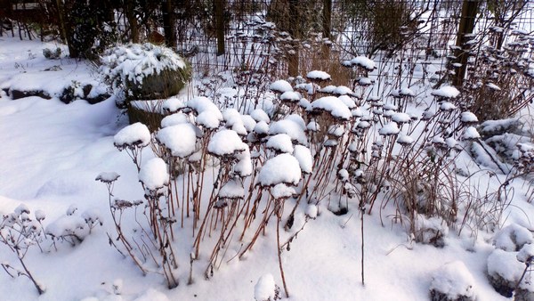  - Het Tuinpad Op / In Nachbars Garten