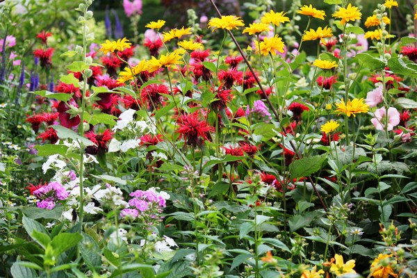 Gartentraum in Altjührden - Het Tuinpad Op / In Nachbars Garten