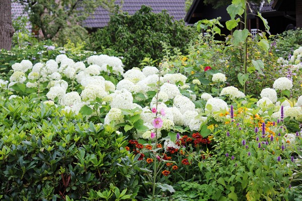 Gartentraum in Altjührden - Het Tuinpad Op / In Nachbars Garten