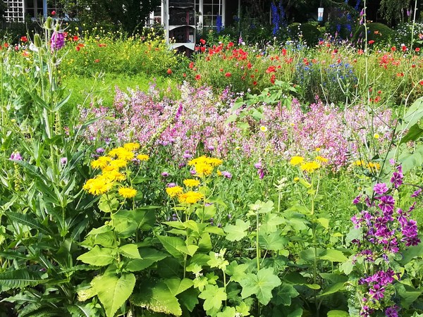 Gartentraum in Altjührden - Het Tuinpad Op / In Nachbars Garten