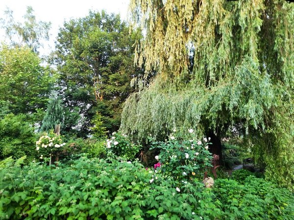 Garten der Vielfalt - Het Tuinpad Op / In Nachbars Garten