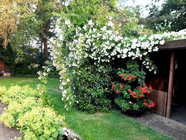 Garten der Vielfalt - Het Tuinpad Op / In Nachbars Garten