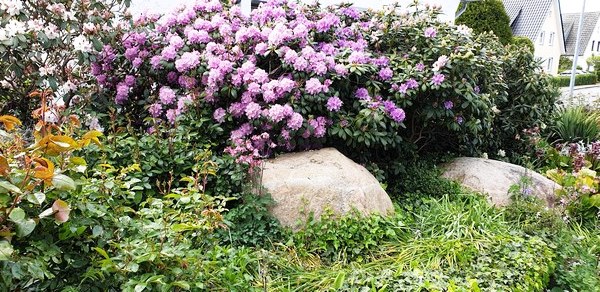 Garten Wilfried Rösner - Het Tuinpad Op / In Nachbars Garten